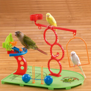 Birdie Basketball Gym - Activity Centre for Smaller Parrots