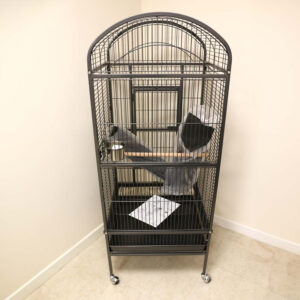 Prevue Dome Top Medium Parrot Cage Black
