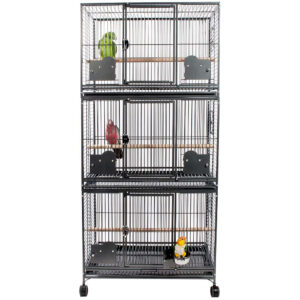 Grande Parrot Cage Triple - Antique